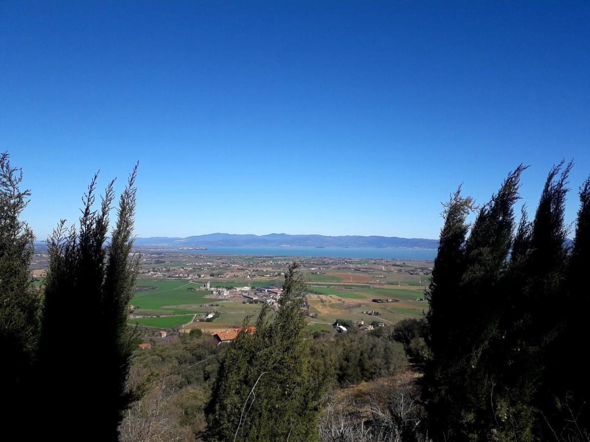 Il Vecchio Frantoio Villa ปานิกาเล ภายนอก รูปภาพ